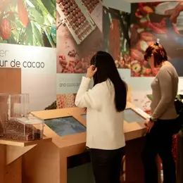Les Secrets du Chocolat par Schaal
