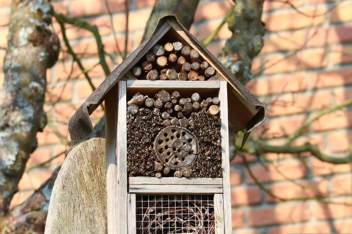 Atelier - Fabriquez votre hôtel à insectes