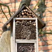 Atelier - Fabriquez votre hôtel à insectes