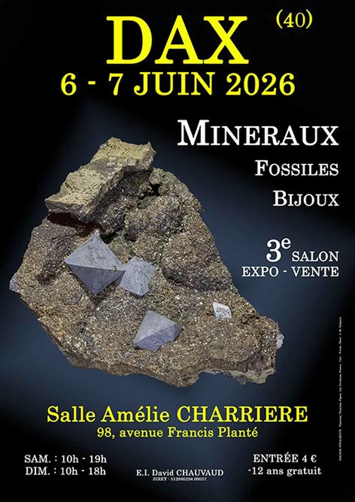 3e SALON Minéraux Fossiles Bijoux de Dax (Landes)