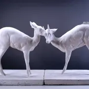 L'état sauvage. L'animal dans les collections du MAMCS et du Musée Zoologique