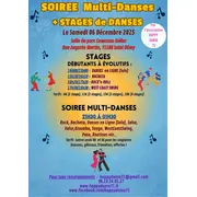 SOIREE Multi-Danses + 4 STAGES , par l'association HAPPY DANSE 71