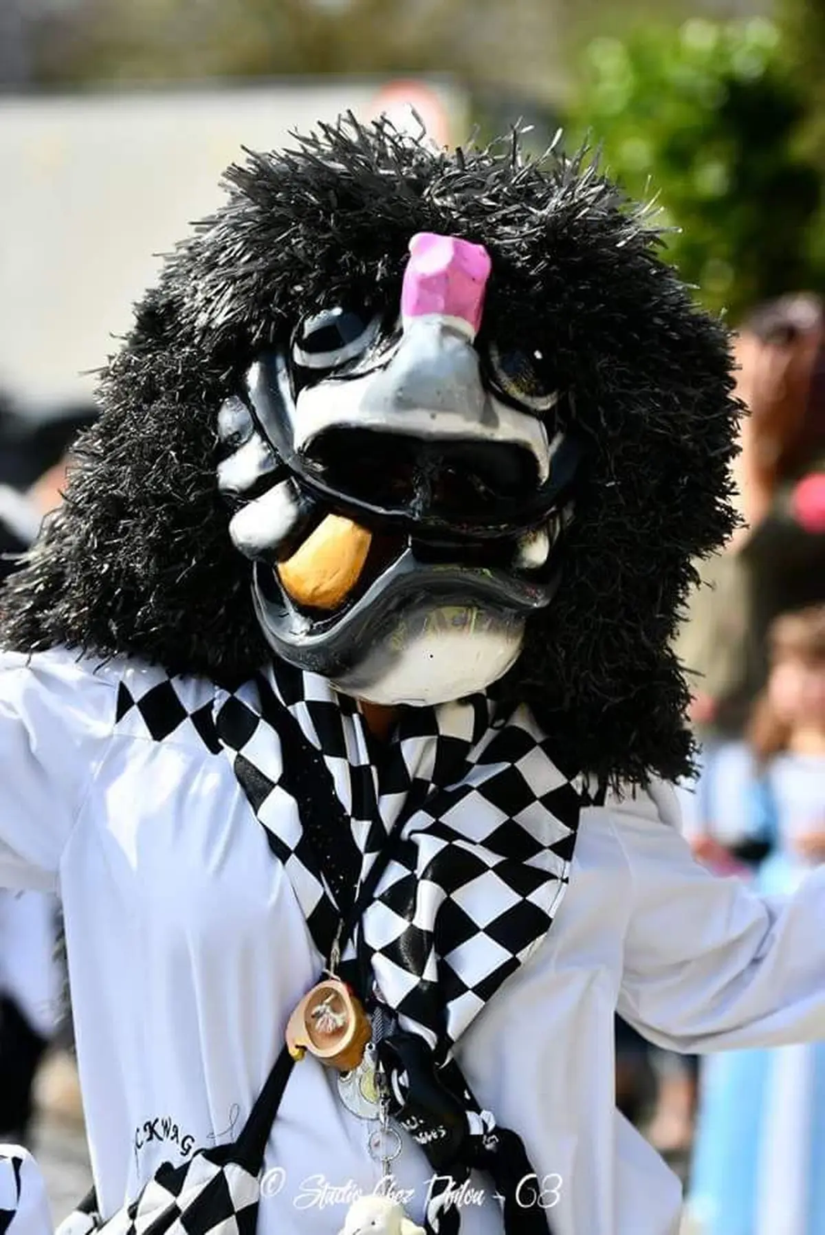 Venez rencontrer les Waggis de Pfastatt !