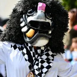 Carnaval de Pfastatt 2027