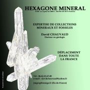 1er Salon Minéraux Fossiles Bijoux de Lagarrigue (Tarn)