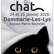 Salon International du Chat de DAMMARIE-LES-LYS