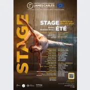 Stage Danses, Toulouse danse ! Édition été 2023