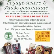 Voyage sonore & pause gourmande