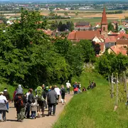 Balade Gourmande 2026 de Wettolsheim