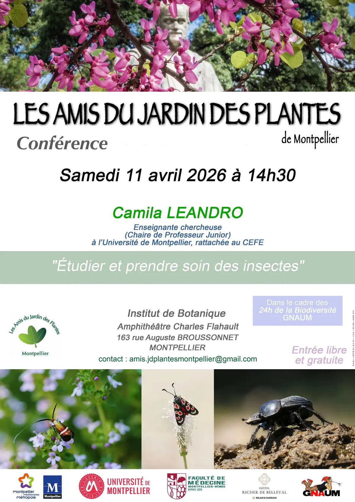 Conférence « Étudier et prendre soin des insectes »