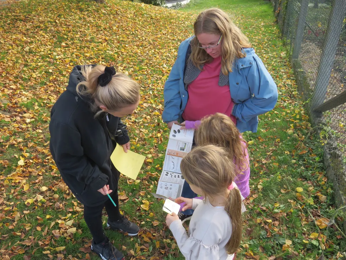 Grand jeu en famille : en quête de l'animal mystère