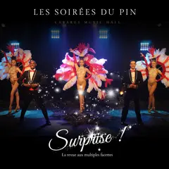 Repas spectacle - Cabaret les soirées du Pin