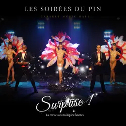 Repas spectacle - Cabaret les soirées du Pin