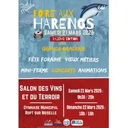 Foire aux harengs  & Salon des vins et du terroir 2026