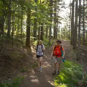Randonnée accompagnée à Wangenbourg