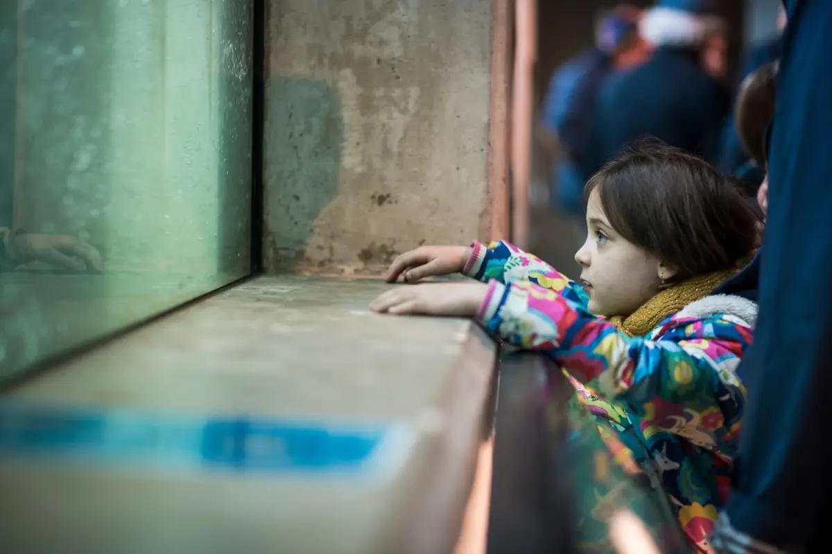 Rendez-vous en famille avec les poissons du Rhin