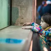 Rendez-vous en famille avec les poissons du Rhin