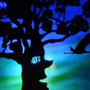 L'envolée de Shemza