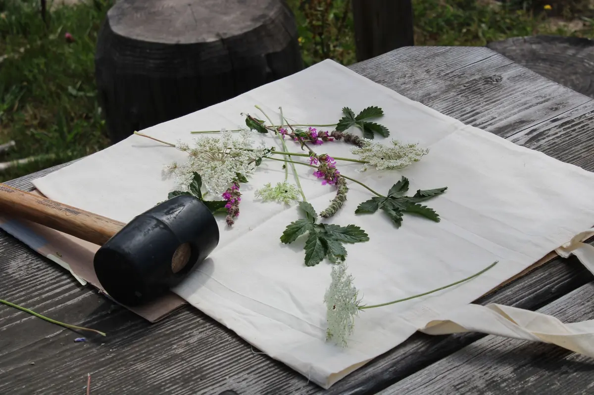 Atelier - Teintures et impression végétale