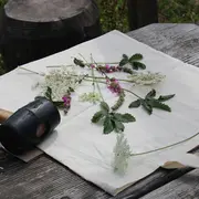 Atelier - Teintures et impression végétale