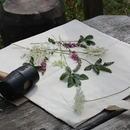 Atelier - Teintures et impression végétale