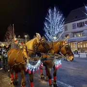 Féeries de Noël : Balades en calèche