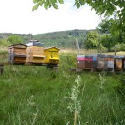 Cours d\'apiculture 2022-2023