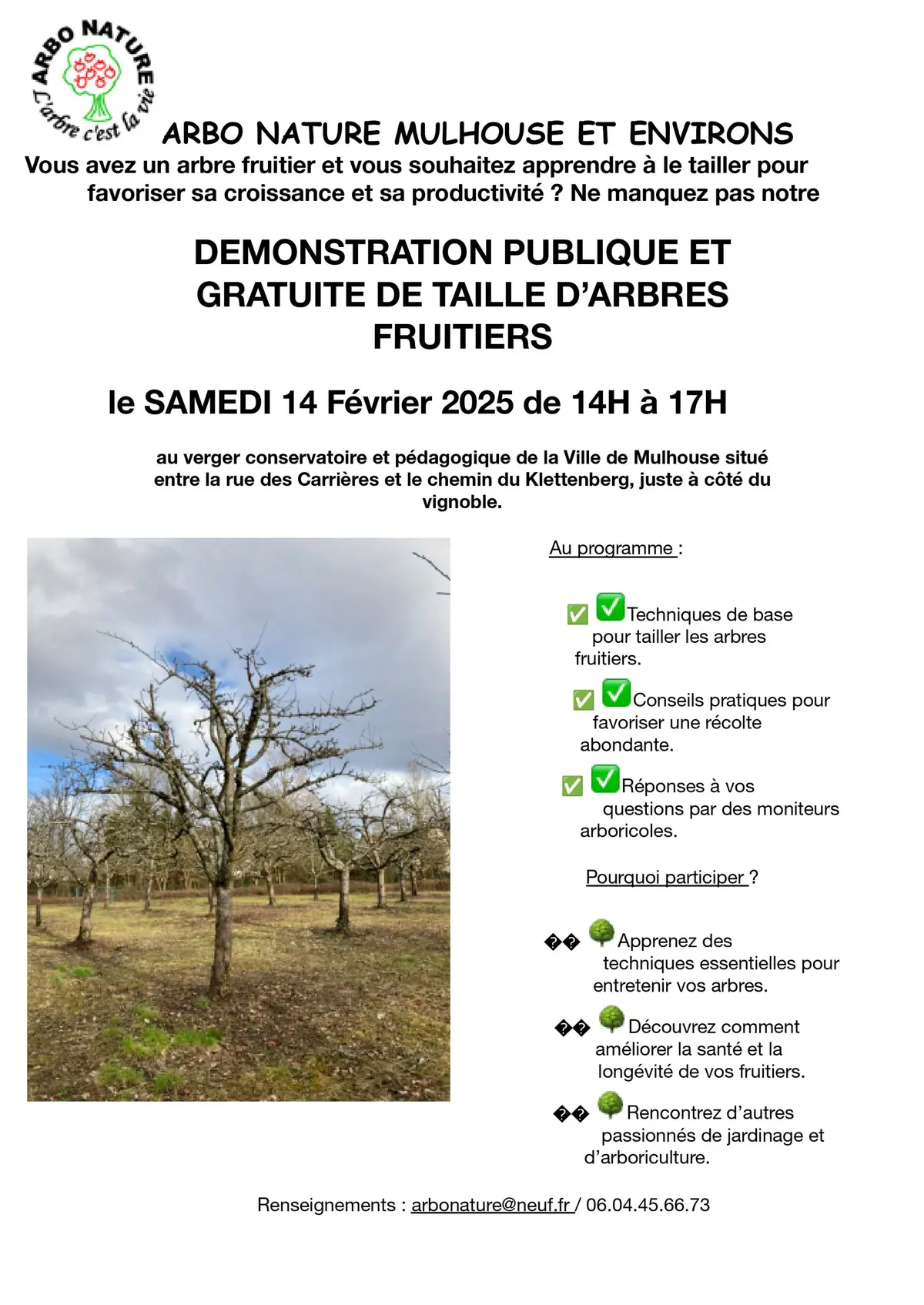 Démonstration de taille d'arbres fruitiers