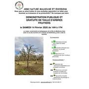 Démonstration de taille d'arbres fruitiers