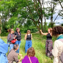 Sortie plantes sauvages comestibles en Sud Gironde 