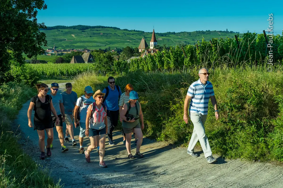 Balade gourmande au crépuscule 2026 (Domaine FREYBURGER)