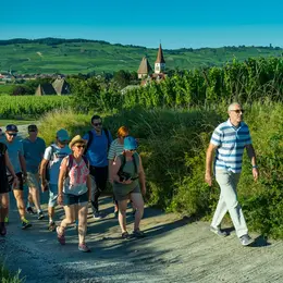 Balade gourmande au crépuscule 2026 (Domaine FREYBURGER)