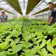 Portes ouvertes des serres : dans la peau des jardiniers municipaux