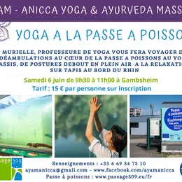 Yoga à la Passe à Poissons