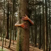 Bain de forêt (adultes uniquement)