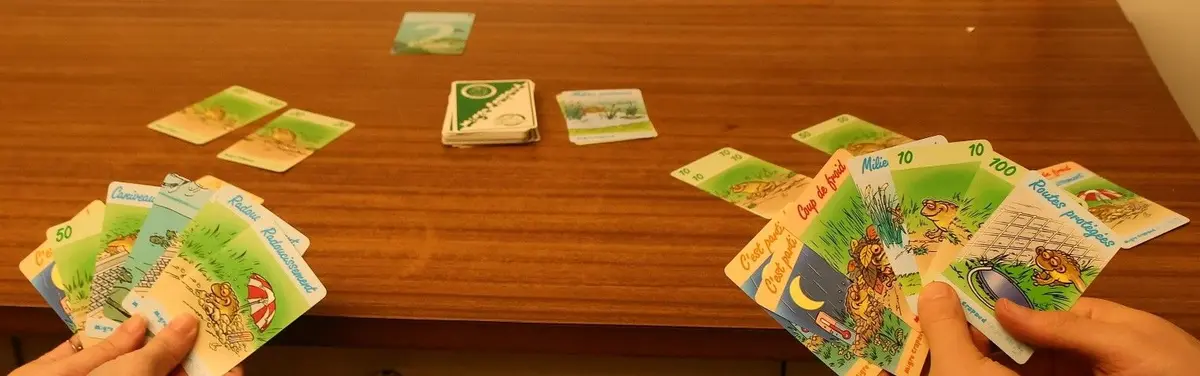Grand jeu en famille : migre-crapaud (à partir de 8 ans)