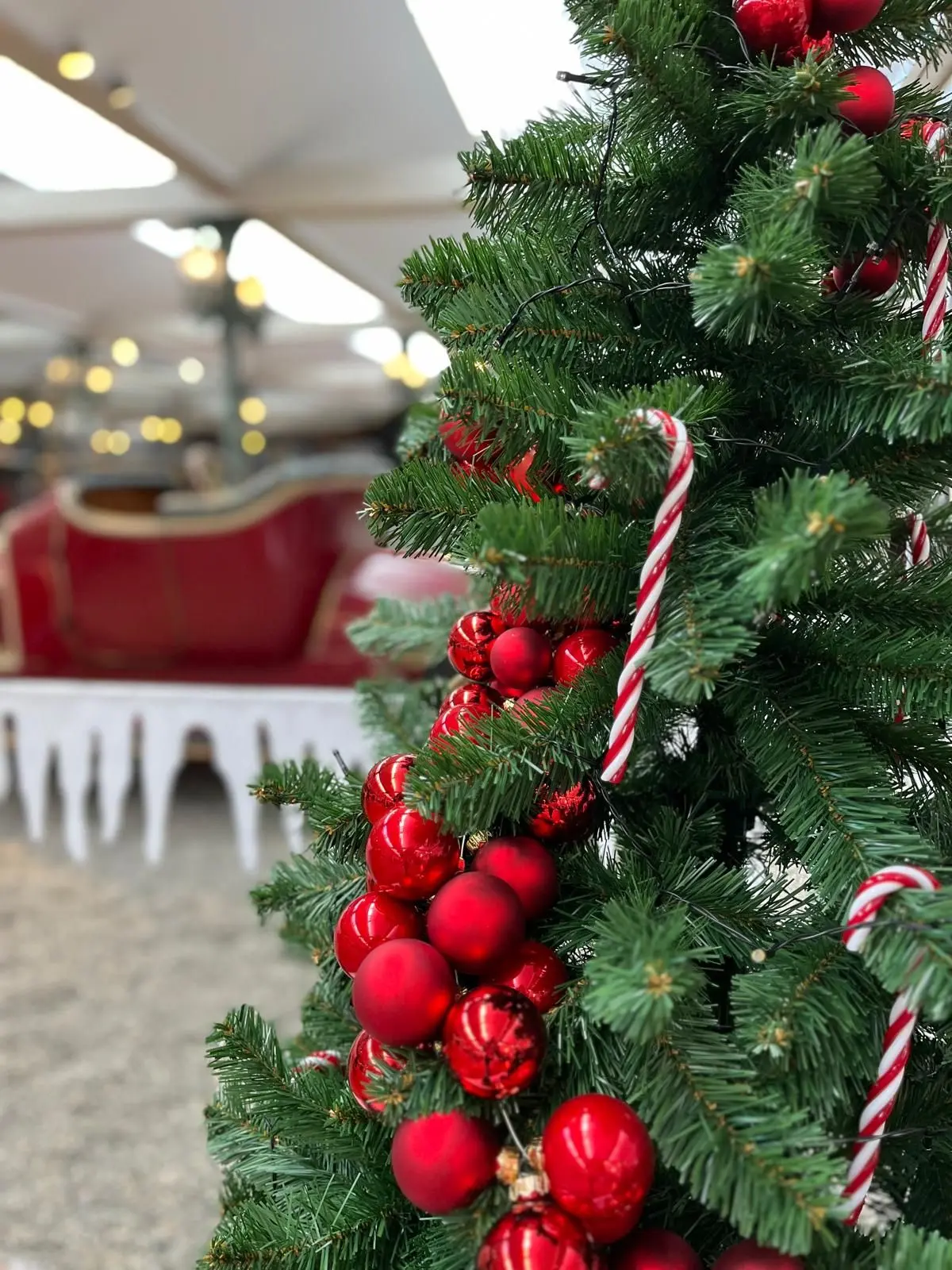 Noël au Musée de l’Auto