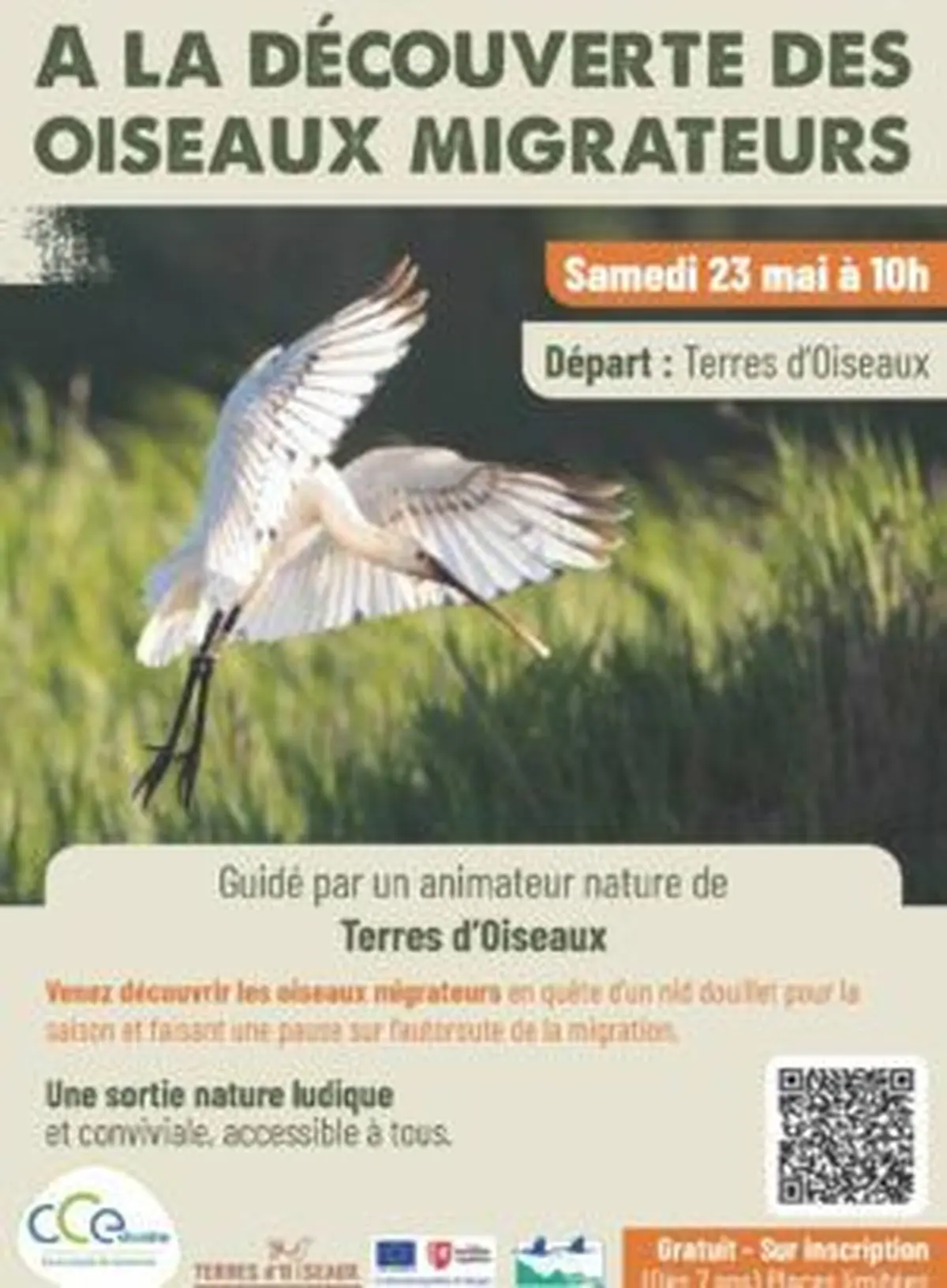 Sortie Natura 2000 sur les oiseaux migrateurs