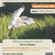 Sortie Natura 2000 sur les oiseaux migrateurs