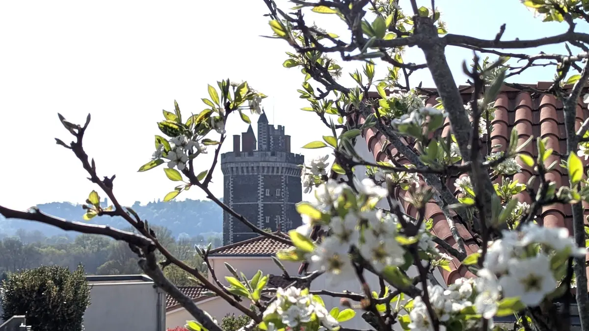Les beaux jours reviennent, le château d'Oudon s’anime 