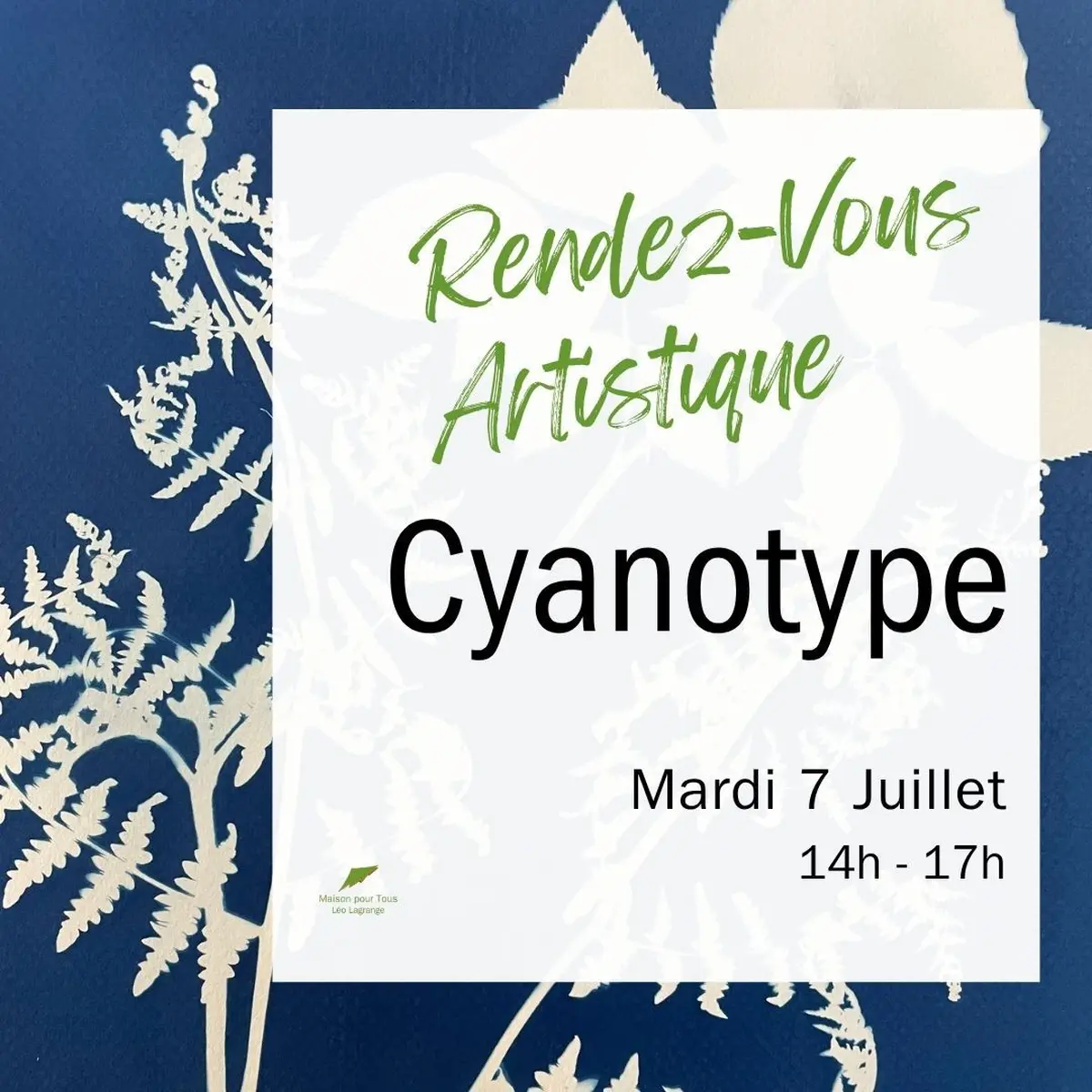 Découverte artistique : le cyanotype