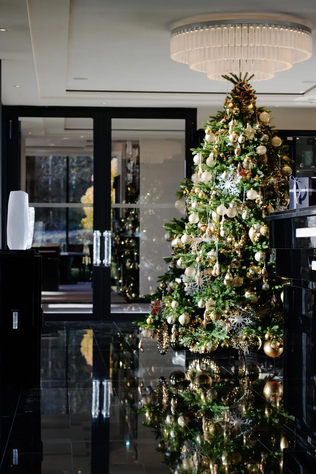 Le lutin malin dévoile son bon cadeau de Noël