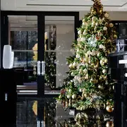 Le lutin malin dévoile son bon cadeau de Noël