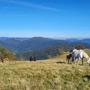 Escapade au Ballon d'Alsace au coeur des Vosges du sud