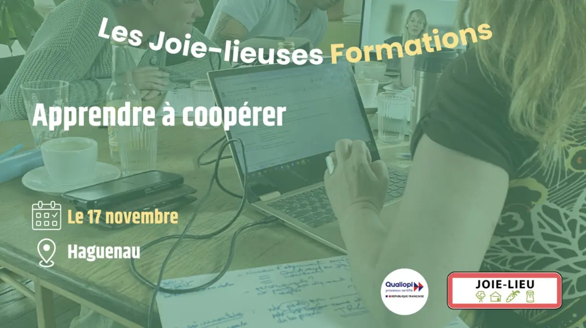 Formation apprendre à coopérer