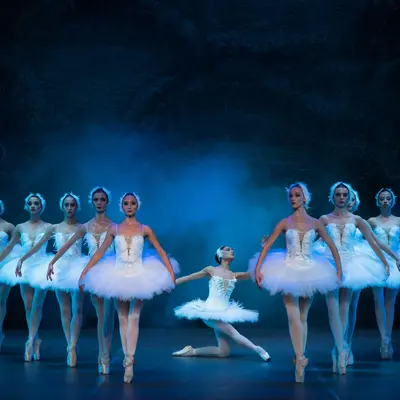 Le Lac des Cygnes - THAON LES VOSGES