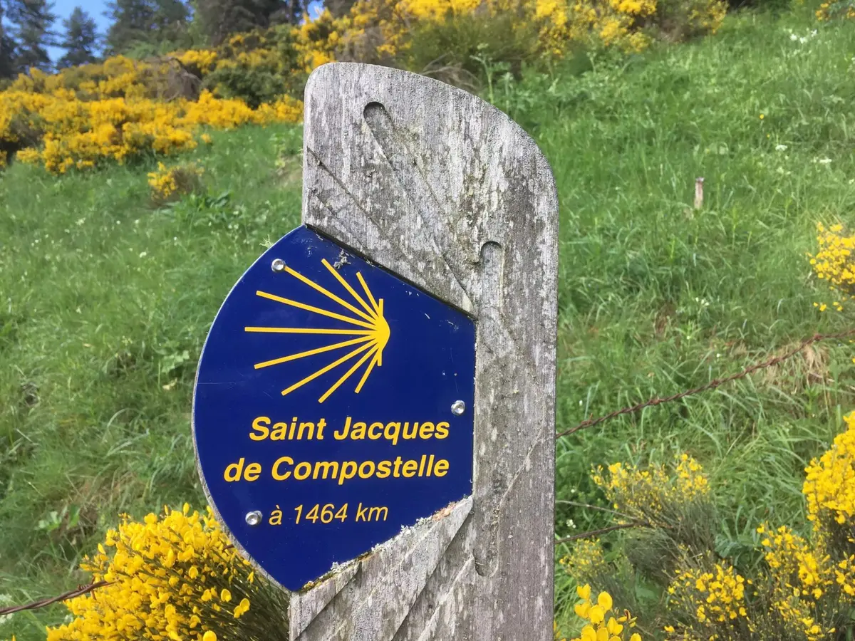 Renc'Art : Découverte des Chemins de la Compostelle et de la Via Francigena