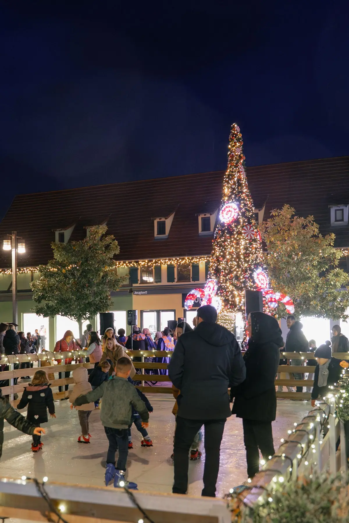 Fééries de Noel à Roppenheim