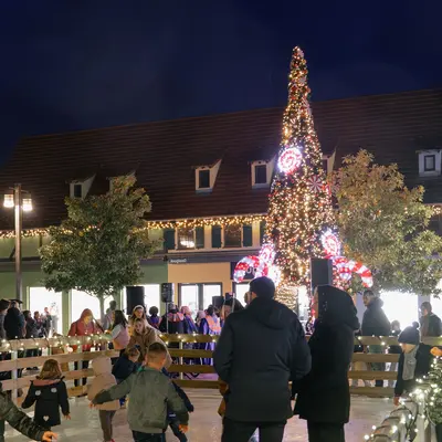 Fééries de Noel à Roppenheim