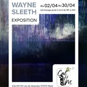 Exposition 'Eaux Calmes' au CALHM, Metz 